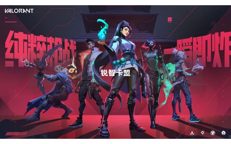 锐智卡盟