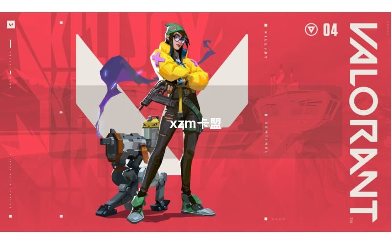 xzm卡盟