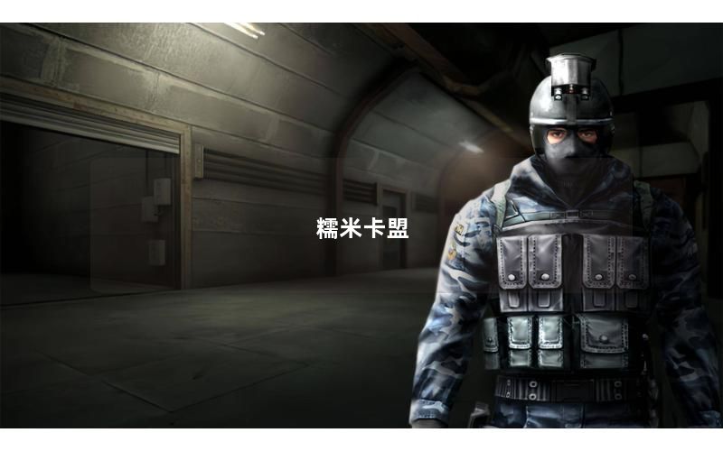糯米卡盟