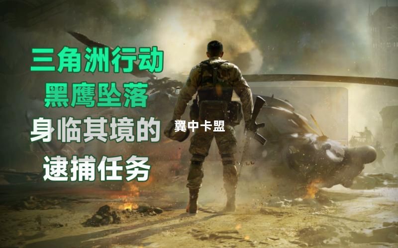 翼中卡盟