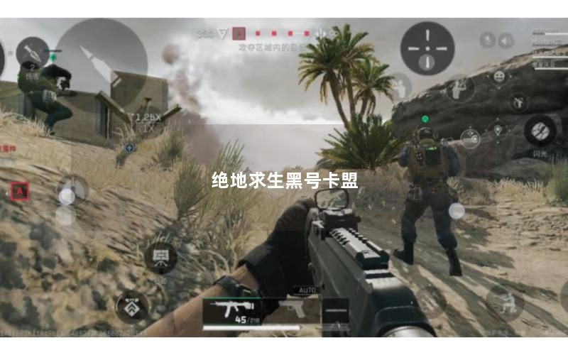 绝地求生黑号卡盟