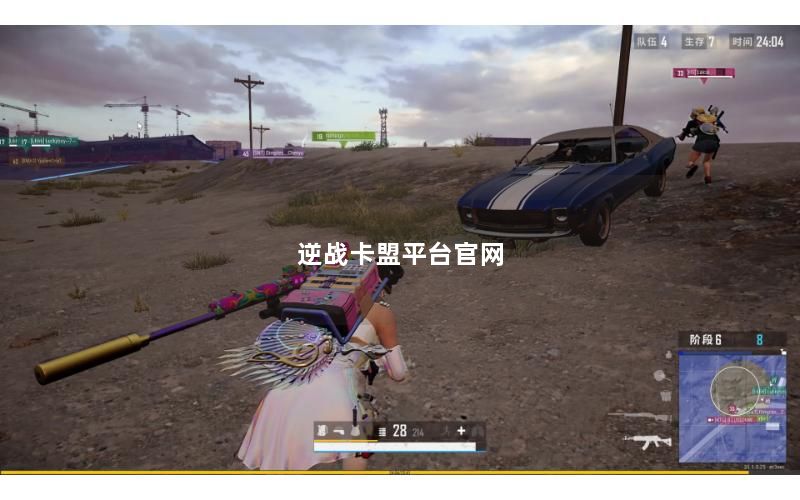 逆战卡盟平台官网