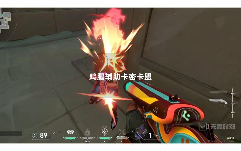 鸡腿辅助卡密卡盟