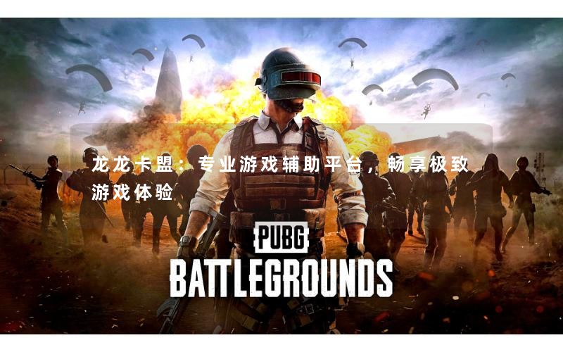 龙龙卡盟：专业游戏辅助平台，畅享极致游戏体验