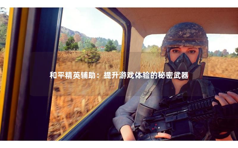 和平精英辅助：提升游戏体验的秘密武器