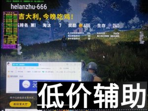 绝地求生荷兰猪辅助白号稳定吃鸡外挂推荐