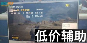 绝地求生玄武辅助最新下载 - 官方网盘实时更新