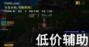 <b>绝地求生擎天柱辅助最新优化版 注入稳定窗口隐藏无痕</b>