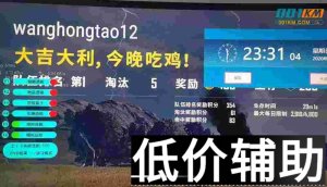 绝地求生北归辅助：透视自瞄稳定版，午后畅玩必备