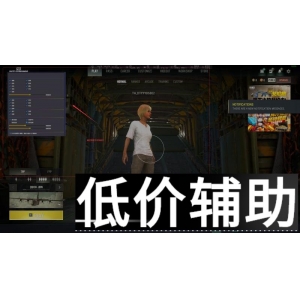 【独家】绝地求生TH内部辅助：稳定上分神器，吃鸡必备工具